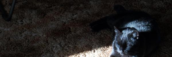 supermarkio Profile Banner