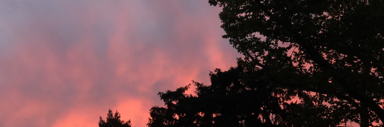 laguatemami's profile banner image