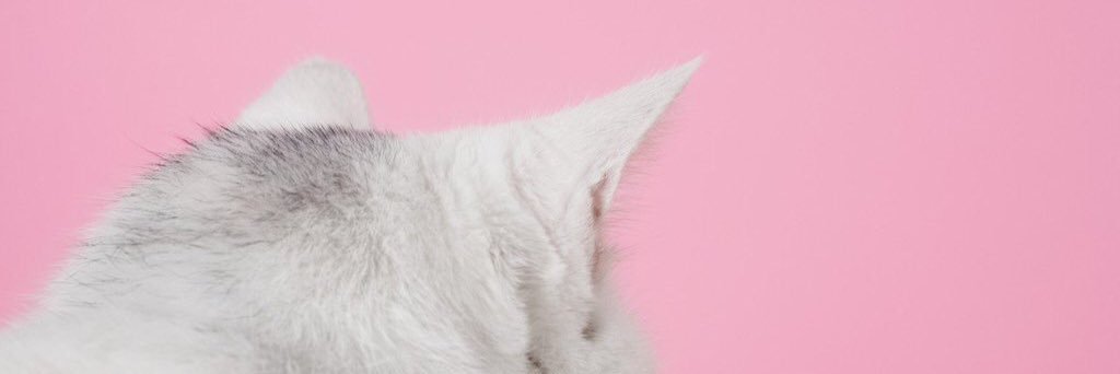 wwpbb's profile banner image