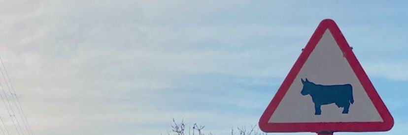 LaGonPiula's profile banner image