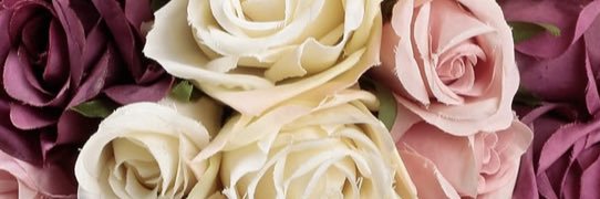 asdkgd's profile banner image