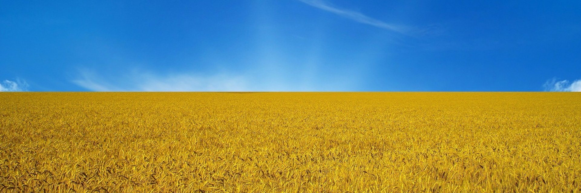 UA DBA banner