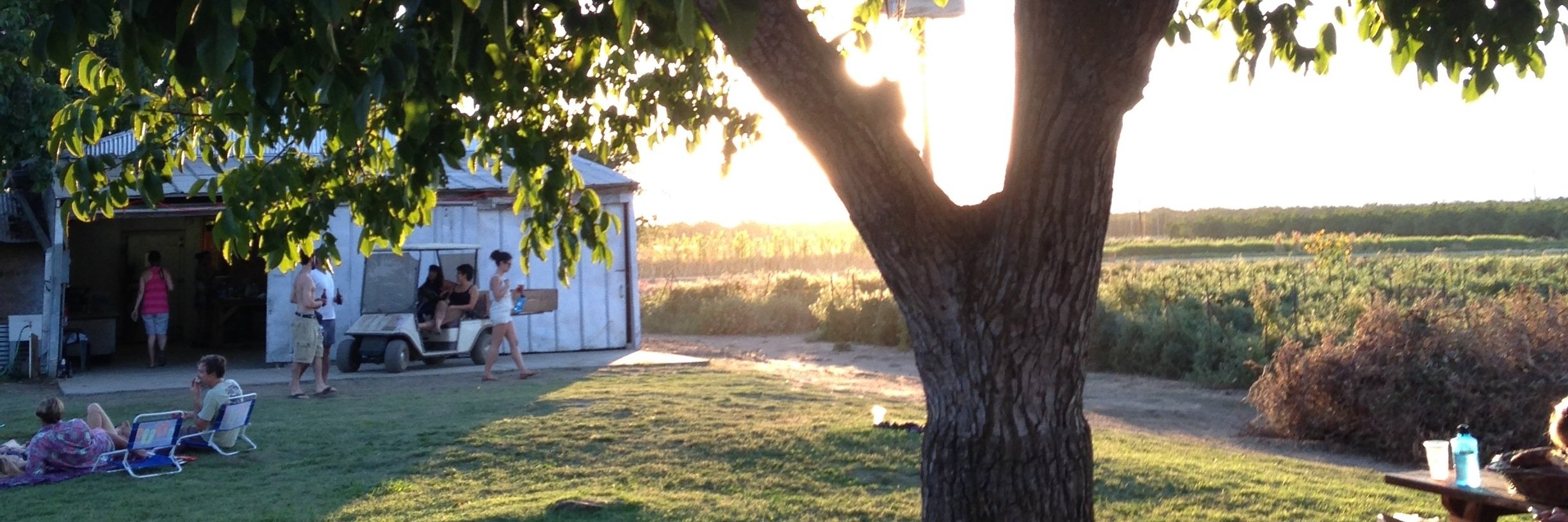 Emily Snow SF banner