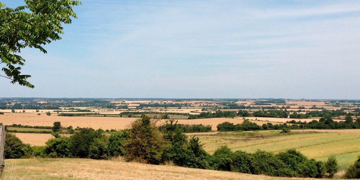 Stuart Alexander banner