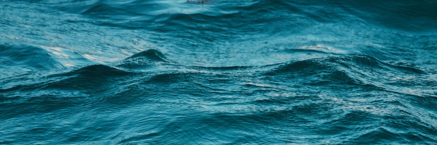sarahkrykelmann's profile banner image