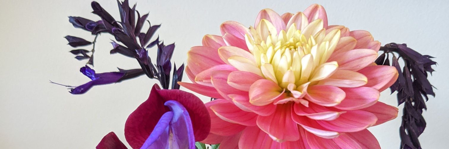 catherwau's profile banner image