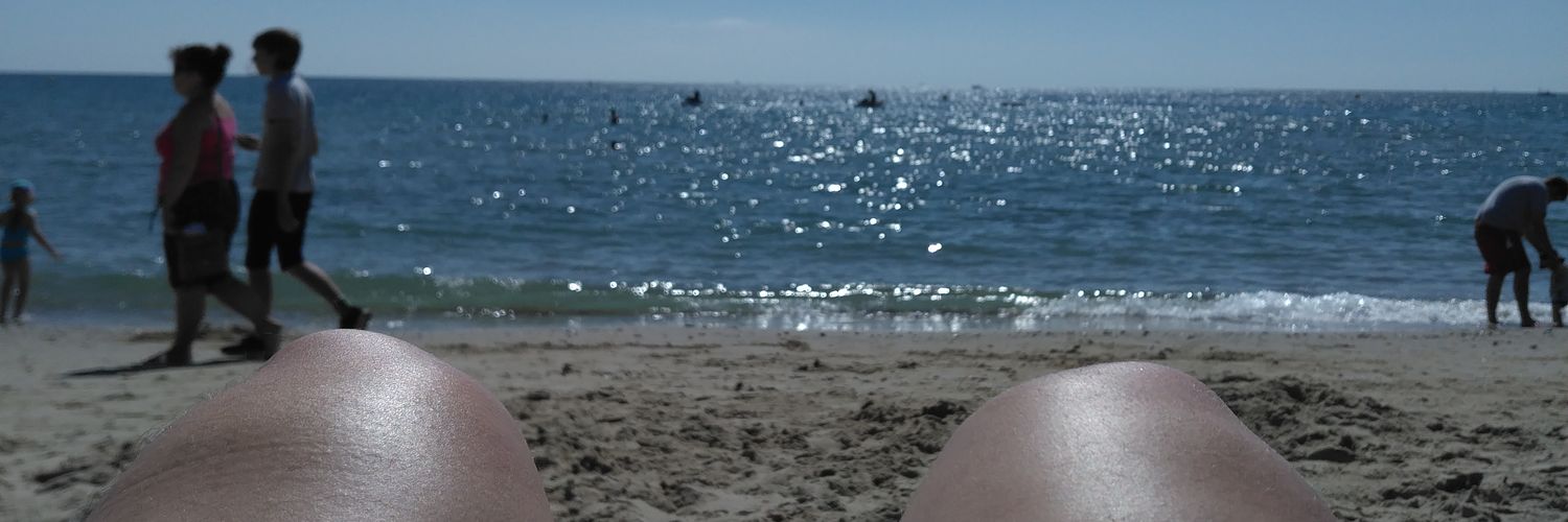 Hmwhatnow banner