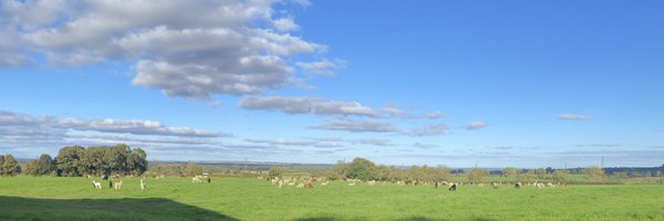 Barnacre Alpacas Profile Banner