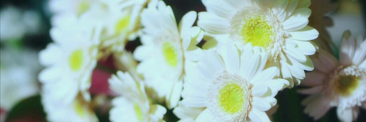 topop01's profile banner image