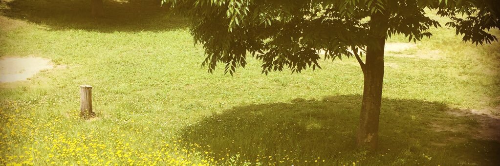 irie340's profile banner image