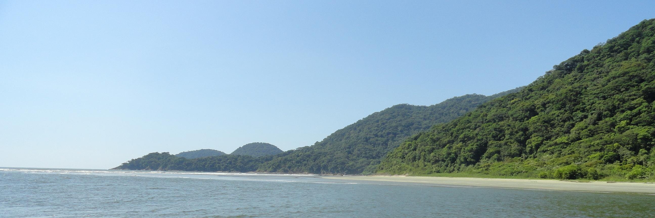 SueliDobon's profile banner image