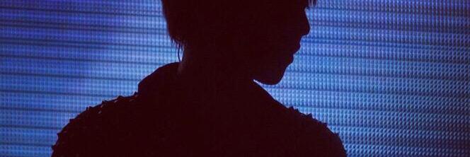 Pekineseb's profile banner image