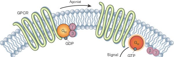 Charles Williams, PhD (My views are my own) banner