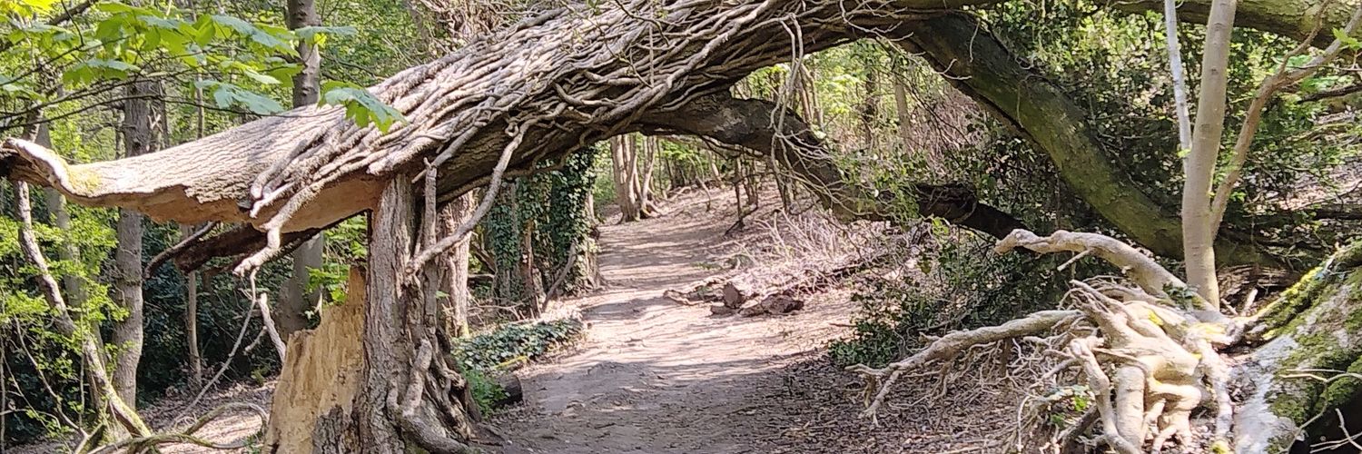 Nick Williams banner