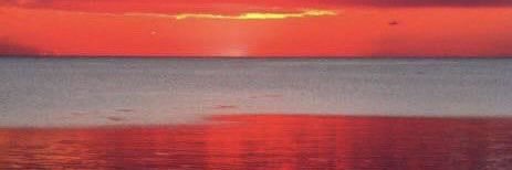 Dr. Dionis Bohusovich 🥃 banner