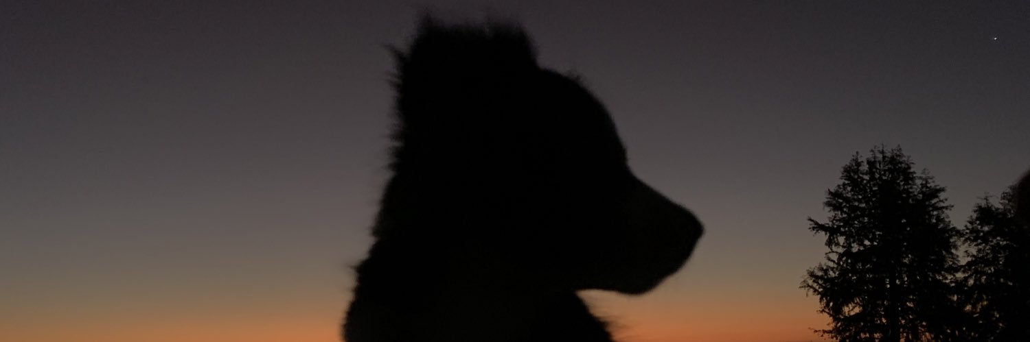 milezarate's profile banner image