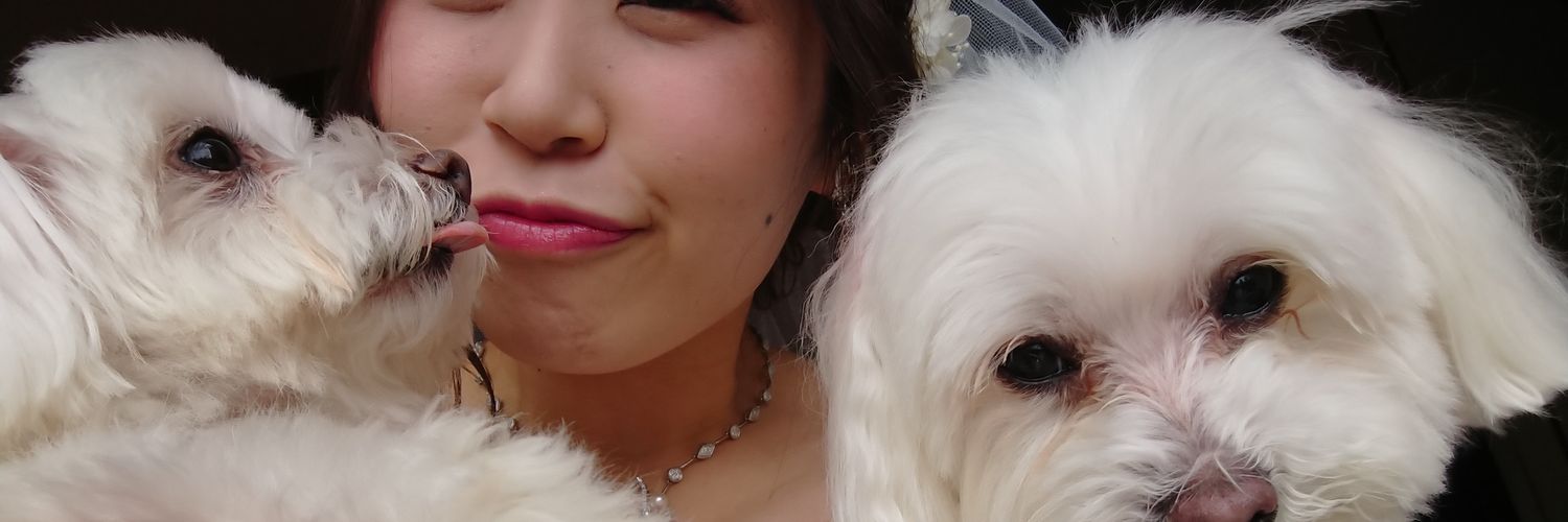 hapiruna7's profile banner image