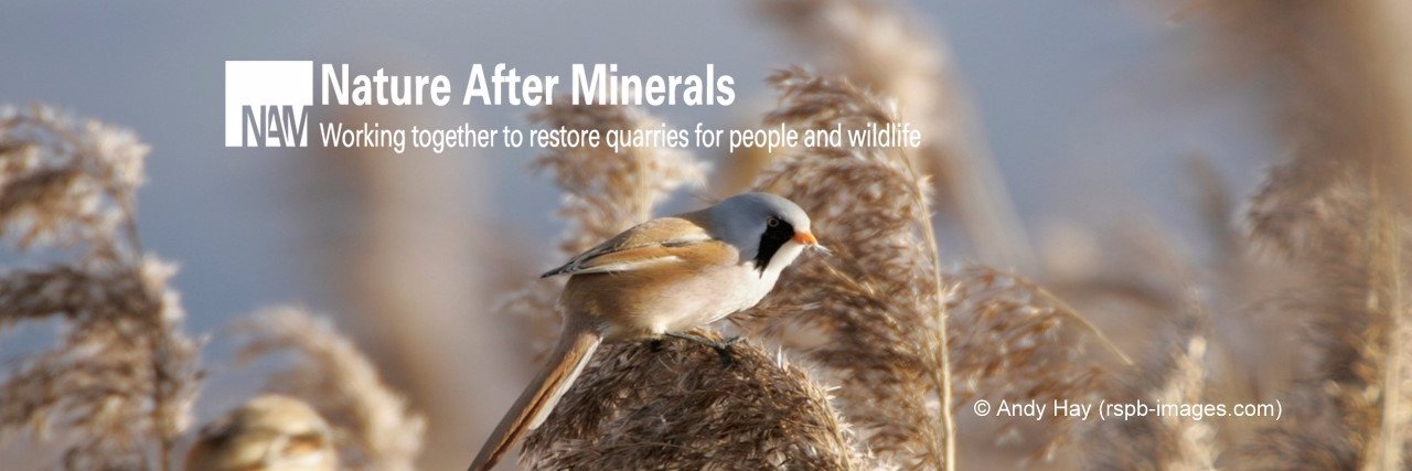 NatureAM's profile banner image