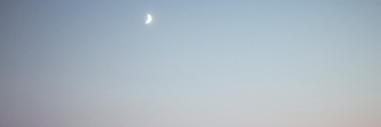 theosallgdrs's profile banner image