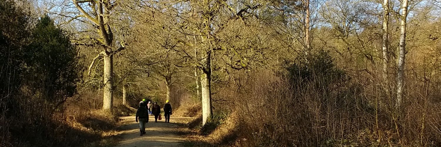Stuart Shurlock banner
