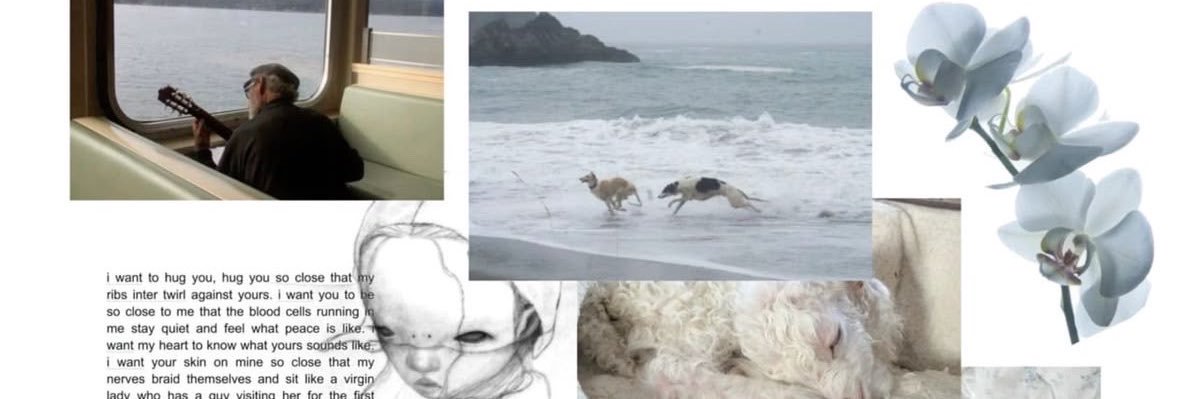 buleriy's profile banner image
