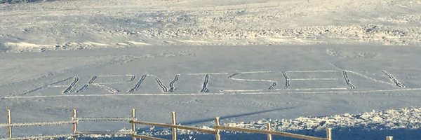 StephArntsen Profile Banner