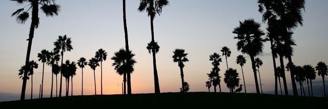 ѕσℓ banner