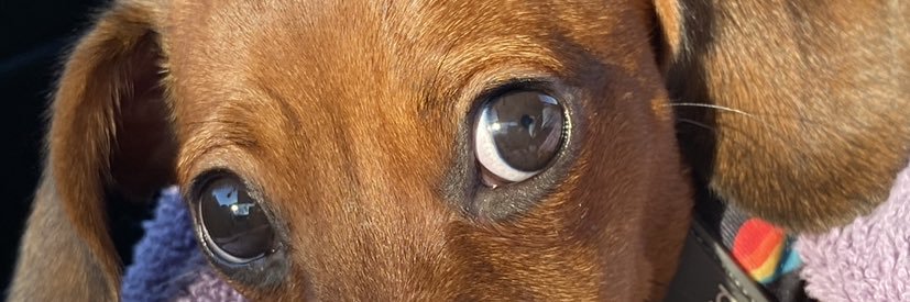 ruthless_brii's profile banner image