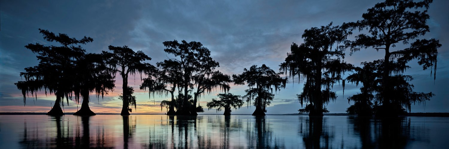 MarkRH ⚜️ banner