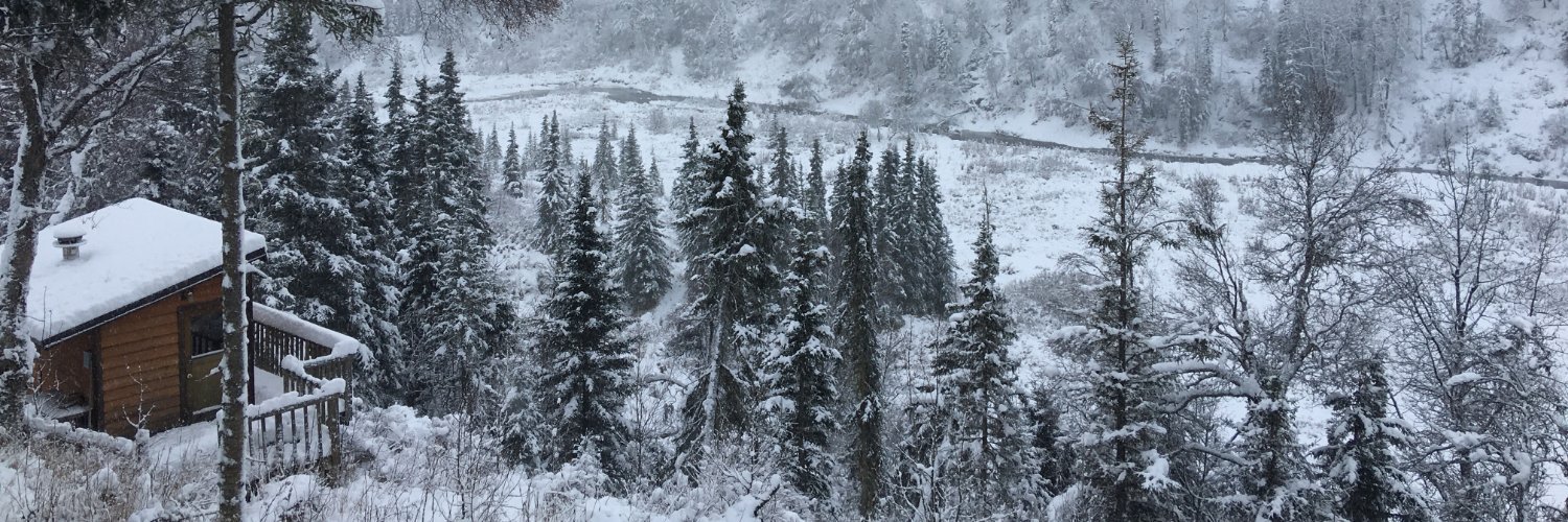 TracyDrupal's profile banner image