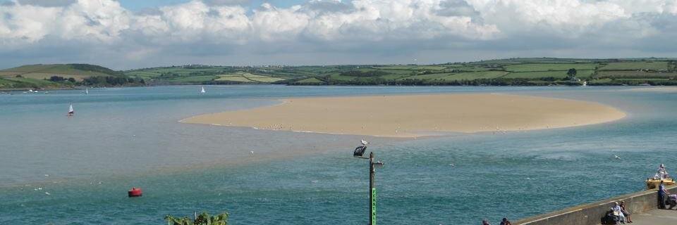 Hayley Pierre banner