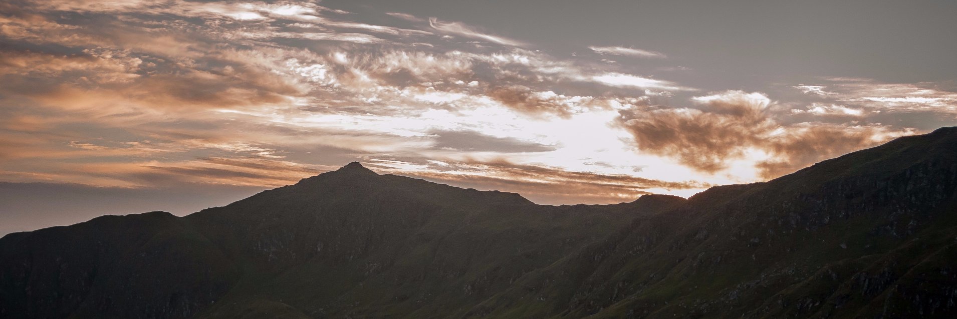 BroProStudios banner