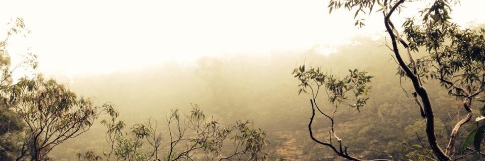 haileymarree's profile banner image