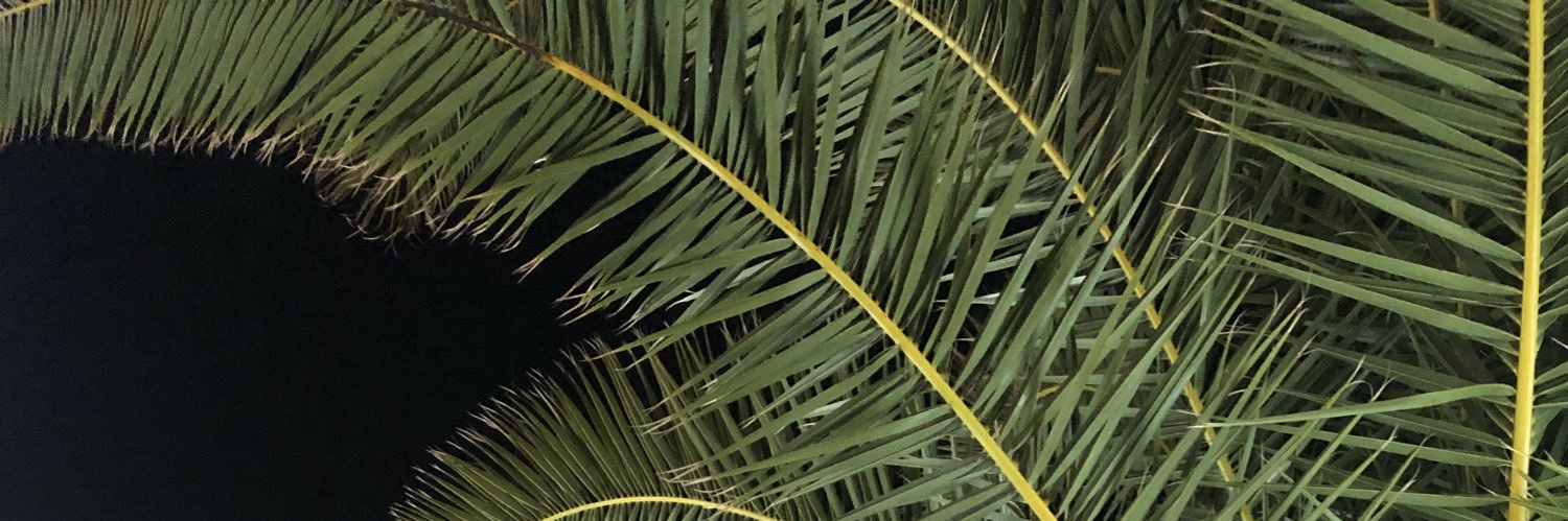 lisarnould's profile banner image