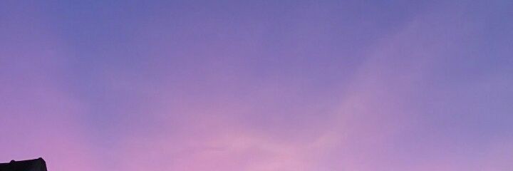 Margoot_M's profile banner image