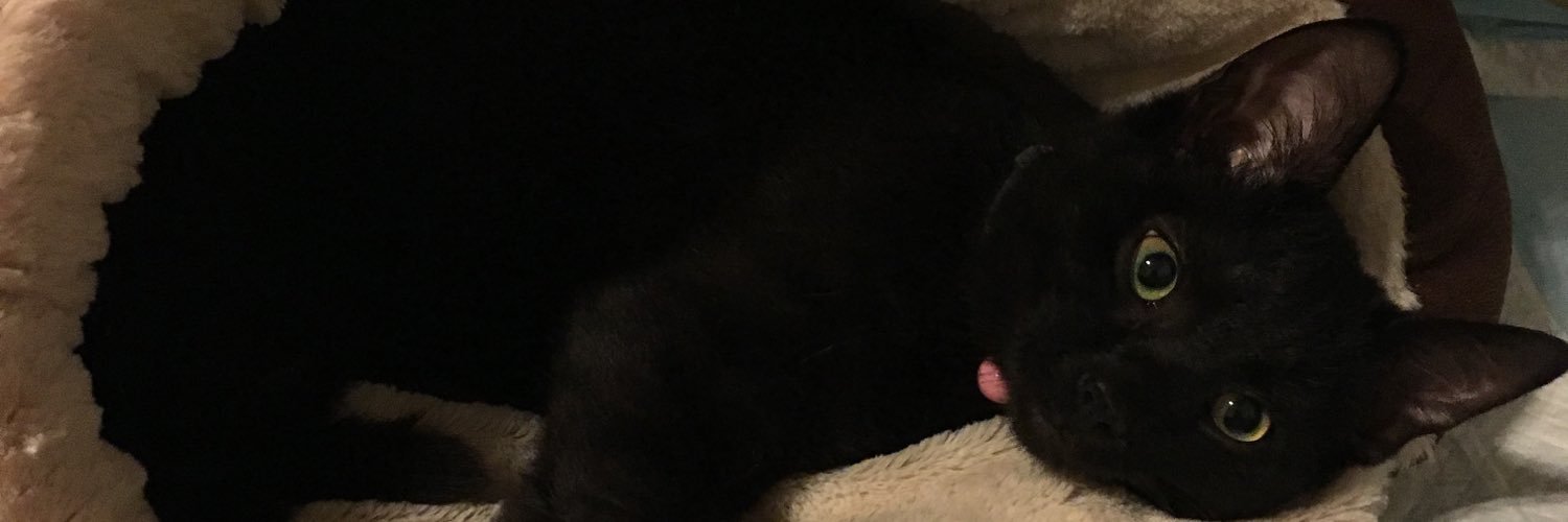 Syductionnn's profile banner image