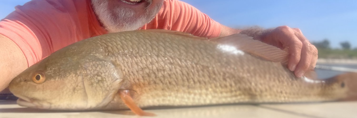 MikeMooreLaw's profile banner image
