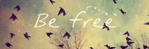 aventureira🪇 banner