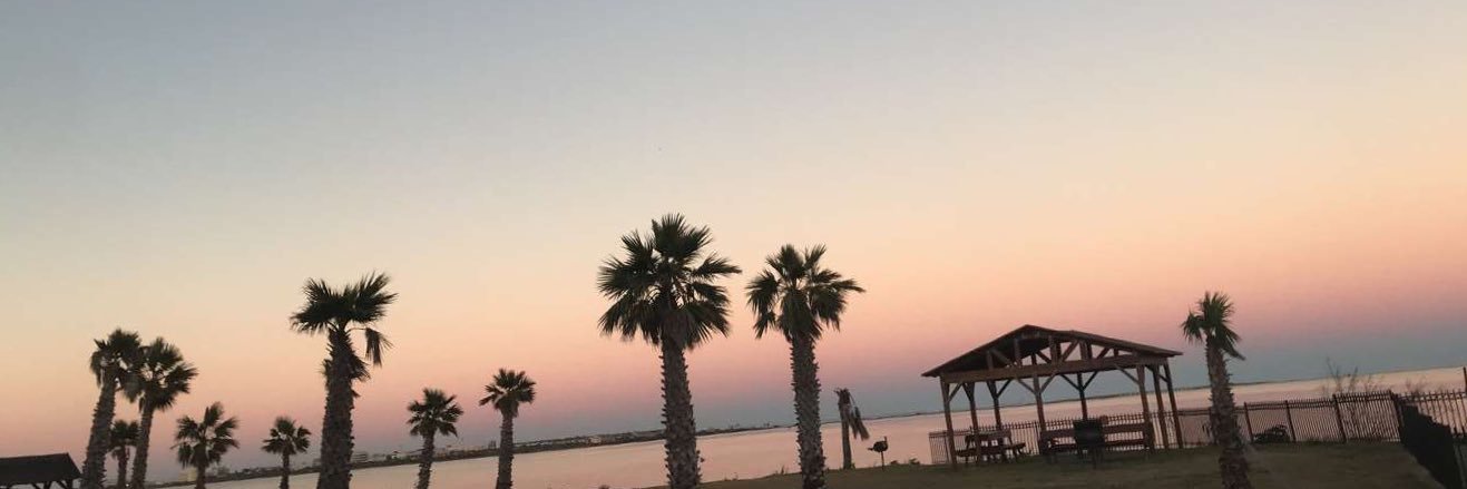 hayleyybennett's profile banner image