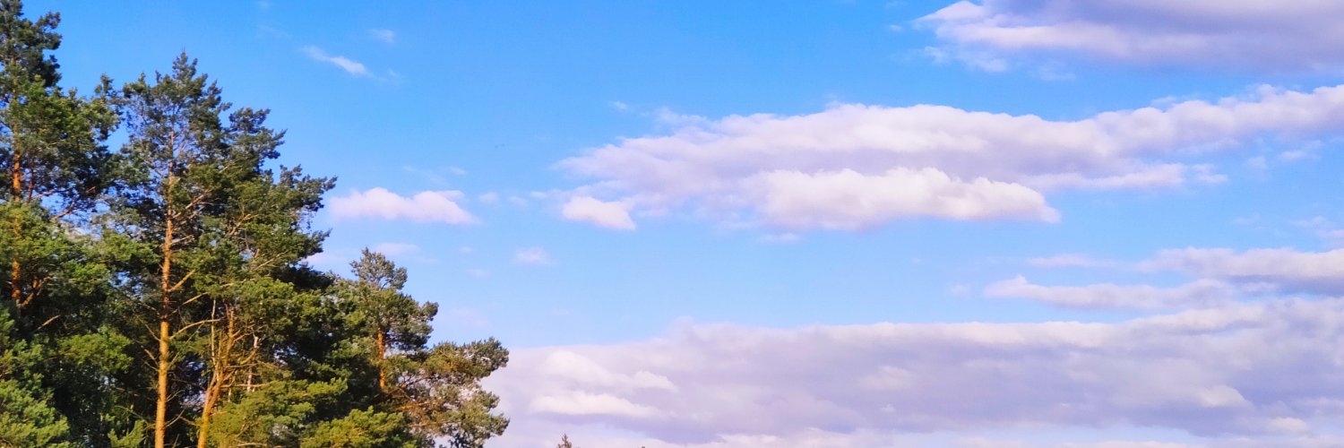 greenka79's profile banner image