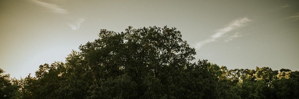 Dylan1hall's profile banner image