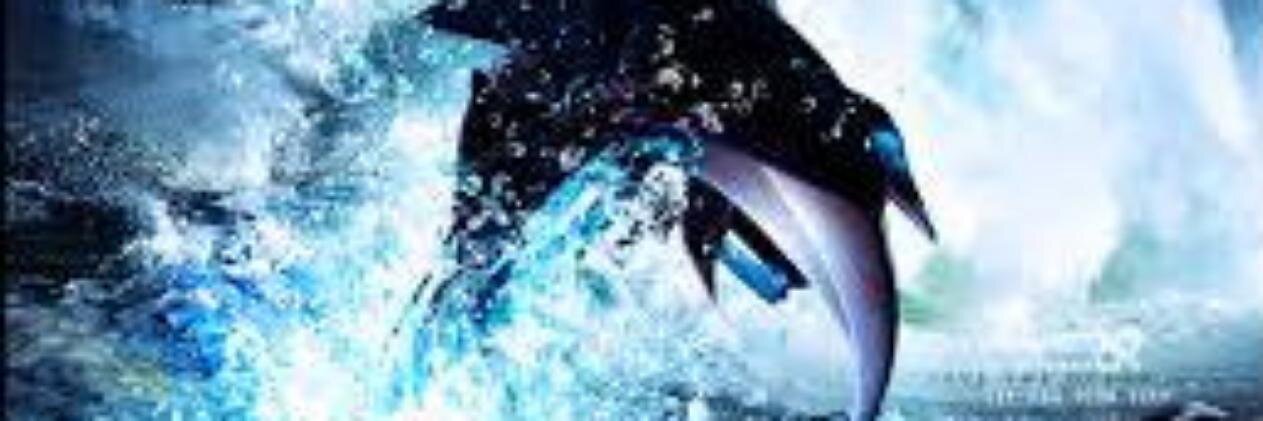 Orcacoin's profile banner image