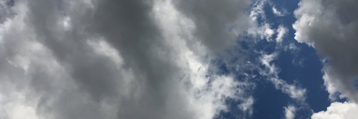 Rebecca Shirzad banner