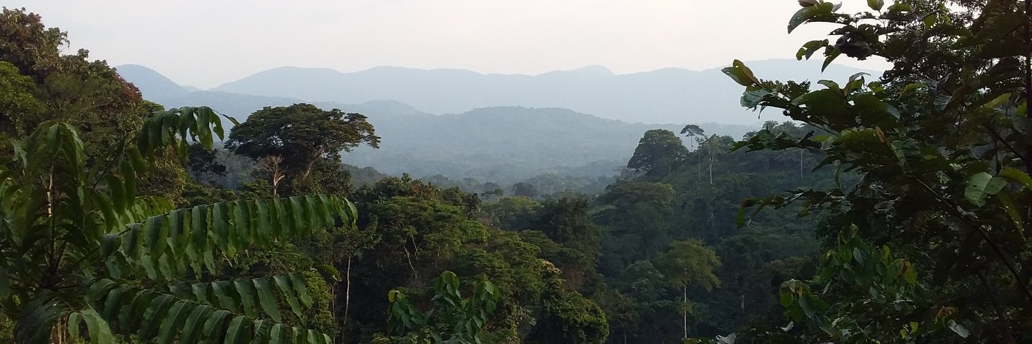 Forest Goods Growing banner