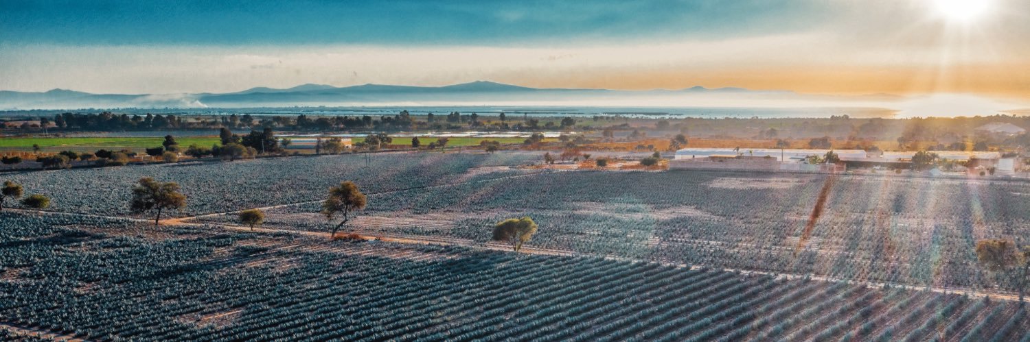 danielmesa's profile banner image