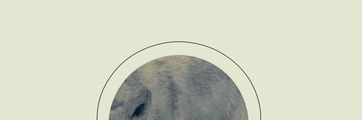 hooks4hands's profile banner image