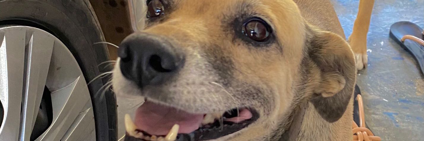 cesarnerys_'s profile banner image