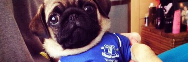 Joelmc5 Profile Banner