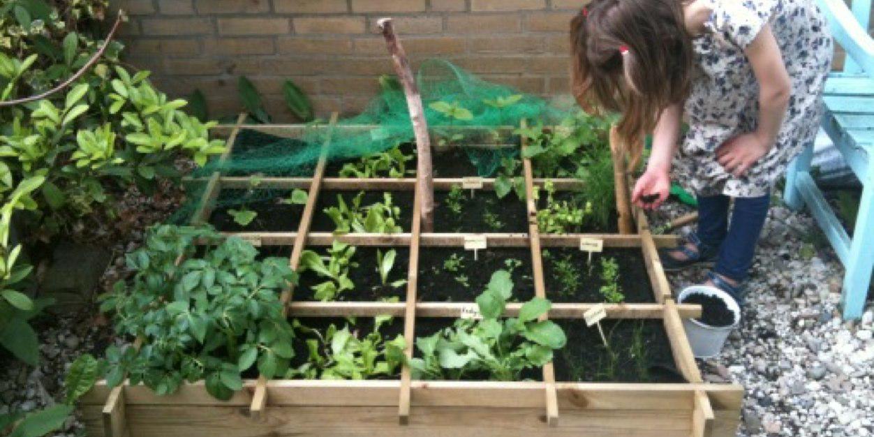 MoestuinCoach banner