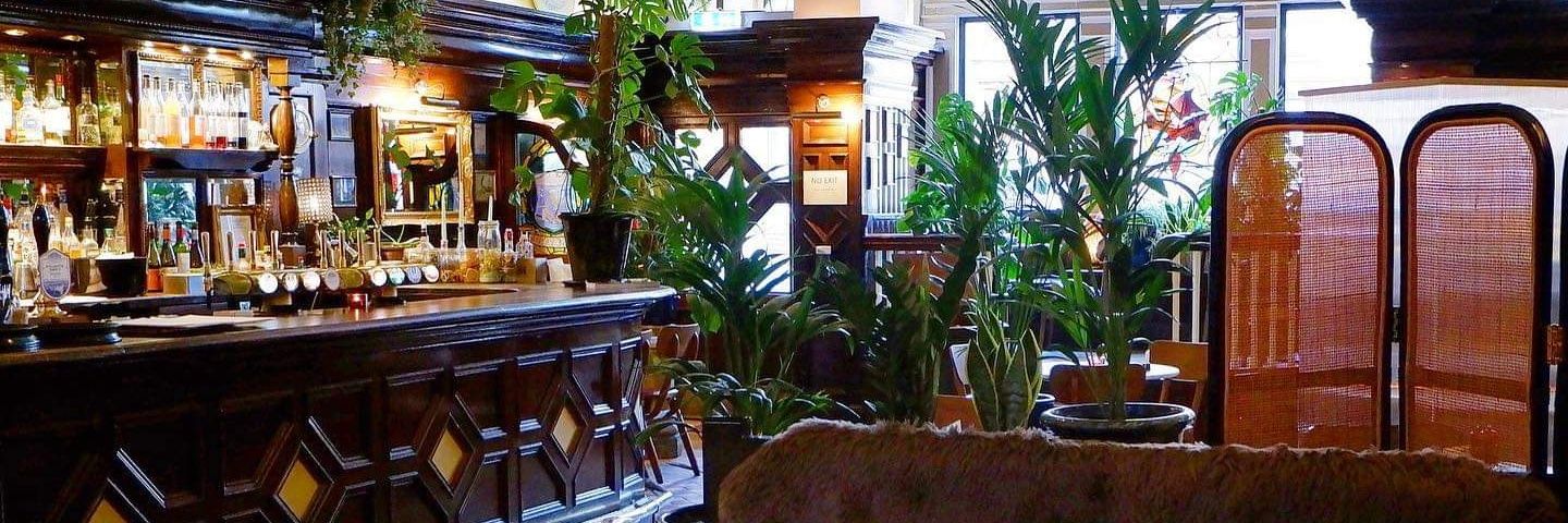 Noblescafebar's profile banner image